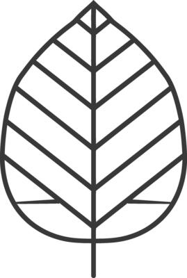 Simple Line Drawing of a Leaf with Veins