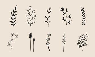 A lovely collection of handdrawn flowers and leaves set against a soft beige background, creating a delightful artistic composition vector