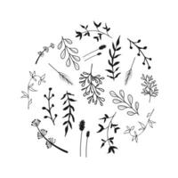 A monochrome illustration of flowers and leaves arranged in a circular pattern, resembling an artistic representation of nature vector