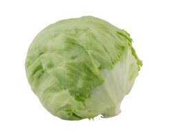 Fresh lettuce cut out isolated transparent background png