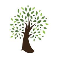 illustration of a tree with lush green foliage on a white background. vector