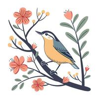 Creative Collection of various Bird's Illustration Design vector