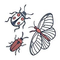 Set Of An Insects Flat Icons Designed vector