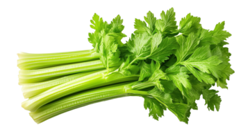 Fresh green celery with long leafy stems, perfect for healthy dishes and snacks. This vibrant vegetable adds crisp texture and flavor to salads and soups png
