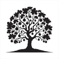 Fig tree silhouette on white background vector
