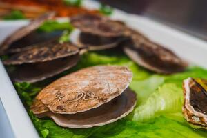 Close Up of Scallop Shells on Lettuce in a Culinary Setting photo