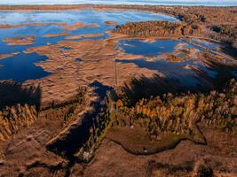 Aerial View of Wetland and Marshland in Latvian National Park photo