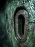 Close up of a mysterious eye like opening in a dark, mossy tree trunk photo