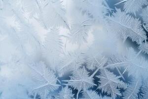 Intricate frost patterns on a frozen window photo