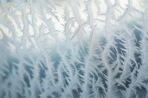 Intricate frost patterns on a window photo