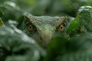 Close up of a green chameleon in the rainforest photo