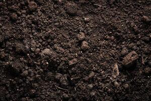 Closeup of dark fertile soil texture photo