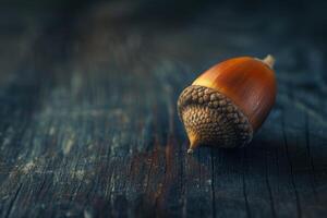 Close up of an acorn on a wooden surface photo