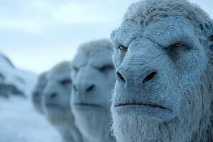 Closeup of a furry blue creature with a serious expression photo