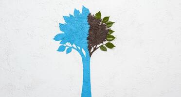 nature, environment, and sustainability concept photo