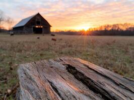 Rustic barn at sunset in a rural field photo