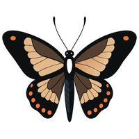 A butterfly with black and orange spots on it vector