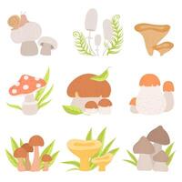 Different Kinds of Forest Mushrooms Set, Edible and Inedible Mushrooms, Wild Organic Products Illustration vector