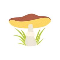Wild Forest Mushroom and Green Growing Grass Illustration vector