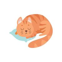 Cute Red Cat Animal Sleeping on Pillow Illustration vector