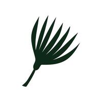 Tropical Talipot Palm Leaf, Botanical Design Element Illustration vector