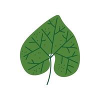 Tropical Ttree Leaf, Exotic Botanical Design Element Illustration vector