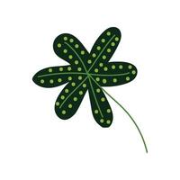 Exotic Tropical Plant Leaf, Botanical Design Element Illustration vector