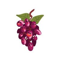 Bunch of Grapes Characters with Funny Faces Illustration vector