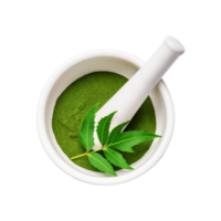 Fresh green neem leaf with ceramic mortar and pestle on transparent background png