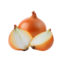 Fresh onion with slices on transparent background png