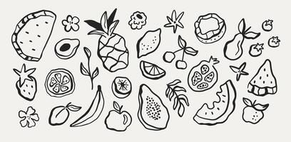 Set of abstract outline drawing fruit in white background. Watermelon, strawberry, pineapple in vintage retro style. vector