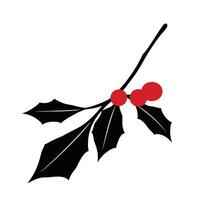 Holly branch with red berries vector