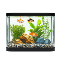 Small Rectangular Aquarium with Goldfish, Aquatic Plants, and Natural Rocks png