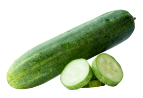 Side view of fresh green cucumber with slices in circle shape in stack isolated with clipping path in file format png