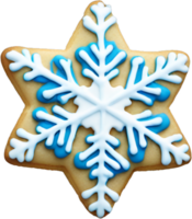 A cookie decorated with a snowflake on top png