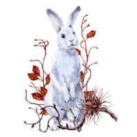 white hare standing with hazel branch and some pear branches png