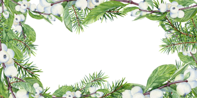 Hand drawn watercolor horizontal frame with Fir branches and snowberries png