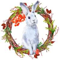 A white rabbit peeks out of a vignette of twigs. Tuya and Ashberry in round design png
