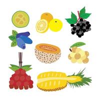 A Diverse Selection of Delicious Fresh Fruits vector