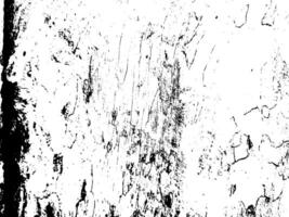 Grunge texture white and black vector