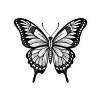 A black and white butterfly on a white background vector