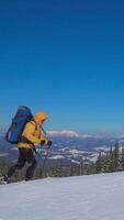 A hiker dressed in a yellow jacket climbs a snowy slope, equipped with trekking poles and a large backpack. The landscape features a breathtaking view of mountains and pine trees under a blue sky. video