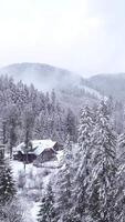 en mysigt stuga sitter omgiven förbi lång vintergröna träd, täckt i färsk snö. dimma höljen de avlägsen berg, skapande en lugn vinter- landskap. vertikal antal fot video