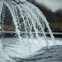 Harmony Ripples in a Silent Pond photo