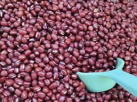 A close-up view reveals vibrant red beans nestled together with a white scope, their glossy surfaces reflecting light and hinting at the delicious dish they will soon become. photo
