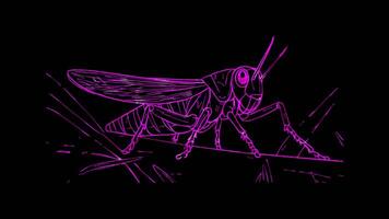 Neon frame effect, Grasshopper on black background video