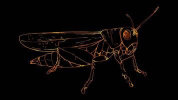 Neon frame effect, Grasshopper on black background video