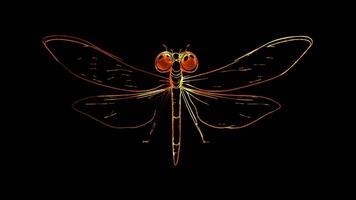 Neon frame effect, Dragonfly on black background video