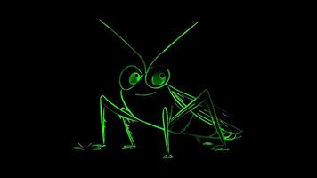 Neon frame effect, Grasshopper on black background video