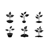 Seedling Graphic Design File High-Quality, Scalable Design vector